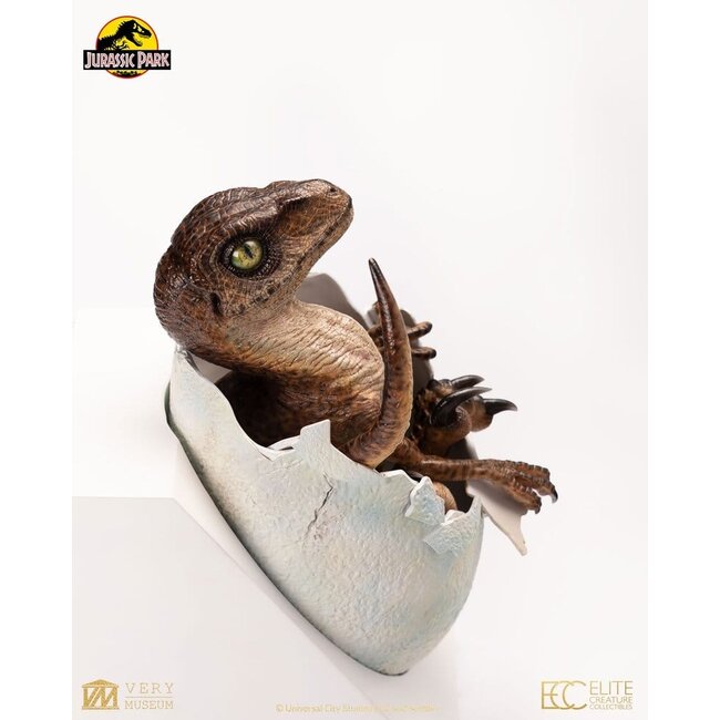 Jurassic Park Replika Büste Velociraptor schlüpft Ei 24 cm