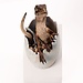 Elite Creature Collectibles Jurassic Park Replika Büste Velociraptor schlüpft Ei 24 cm
