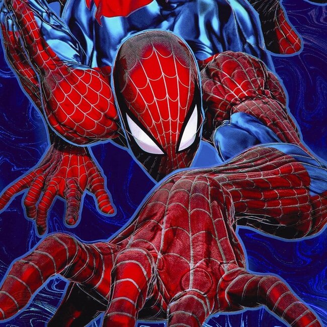 Marvel Kunstdruck Spider-Man '94 61 x 41 cm - ungerahmt