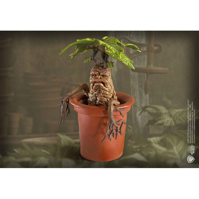 Harry Potter Magical Creatures Statue Mandrake 13 cm