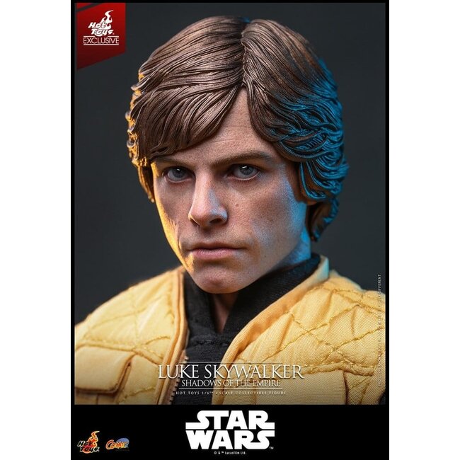 Star Wars Comic Masterpiece Actionfigur 1/6 Luke Skywalker (Schatten des Imperiums) (Hot Toys Exklusiv) 28 cm