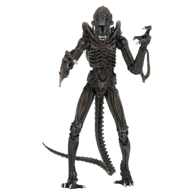 Aliens Ultimate Action Figure Warrior (1986) Brown 23 cm