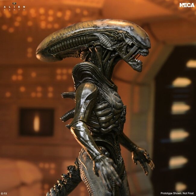 Alien: Earth Ultimate Actionfigur Wendys Xenomorph 18 cm
