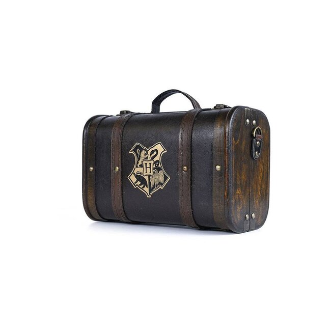 Harry Potter Geschenkset Trouble Finds Me