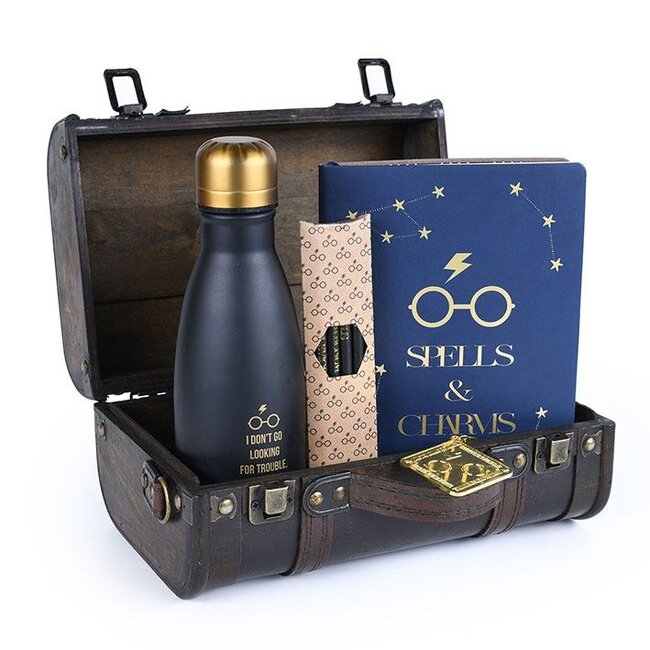 Harry Potter Geschenkset Trouble Finds Me