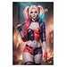 Sideshow Collectibles DC Comics Fine Art Print Harley Quinn 41 x 61 cm - unframed