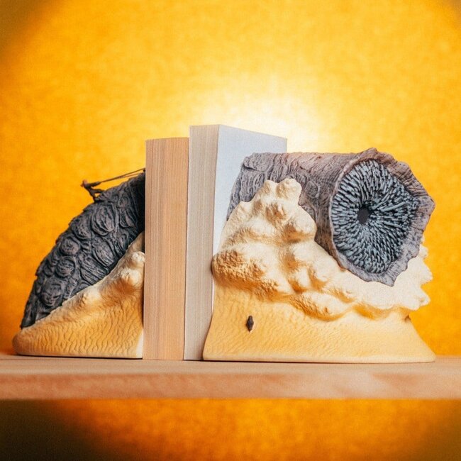 Dünen-Buchstützen 17 cm