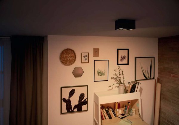 Philips Spot Box 2 lichts zwart Philips Spot Box 2 lichts zwart