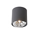 Lucide DIALO-LED Spot AR111 12Wincl. Ø12 H12cm Grijs Lucide DIALO-LED Spot AR111 12Wincl. Ø12 H12cm Grijs