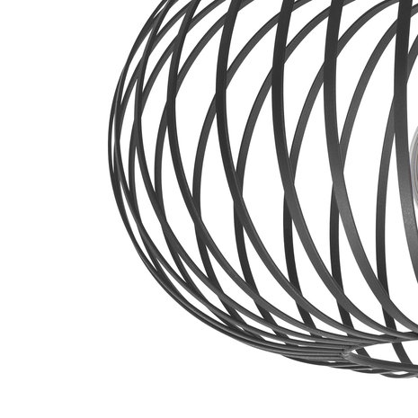 Freelight Plafondlamp Aglio Ø 25 cm zwart