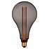 Lamp LED XXL 16,5x30 cm 5W 100 LM 1800K 3 Standen DIM Rook Lamp LED XXL 16,5x30 cm 5W 100 LM 1800K 3 Standen DIM Rook