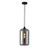 Hanglamp Botany Ø 18 cm rook glas zwart Hanglamp Botany Ø 18 cm rook glas zwart