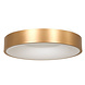 Steinhauer Plafondlamp Ringlede Ø 48 cm 2563 goud Steinhauer Plafondlamp Ringlede Ø 48 cm 2563 goud