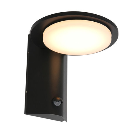 spiegel Bedrijf thema Buitenlamp Luzon incl. LED 1 lichts dag nacht sensor zwart - Lamponline.nl