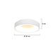 Steinhauer Plafondlamp Ringlede Ø 30 cm 3086 wit Steinhauer Plafondlamp Ringlede Ø 30 cm 3086 wit