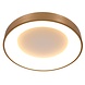Steinhauer Plafondlamp Ringlede Ø 48 cm 2563 goud Steinhauer Plafondlamp Ringlede Ø 48 cm 2563 goud