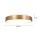 Steinhauer Plafondlamp Ringlede Ø 48 cm 2563 goud Steinhauer Plafondlamp Ringlede Ø 48 cm 2563 goud