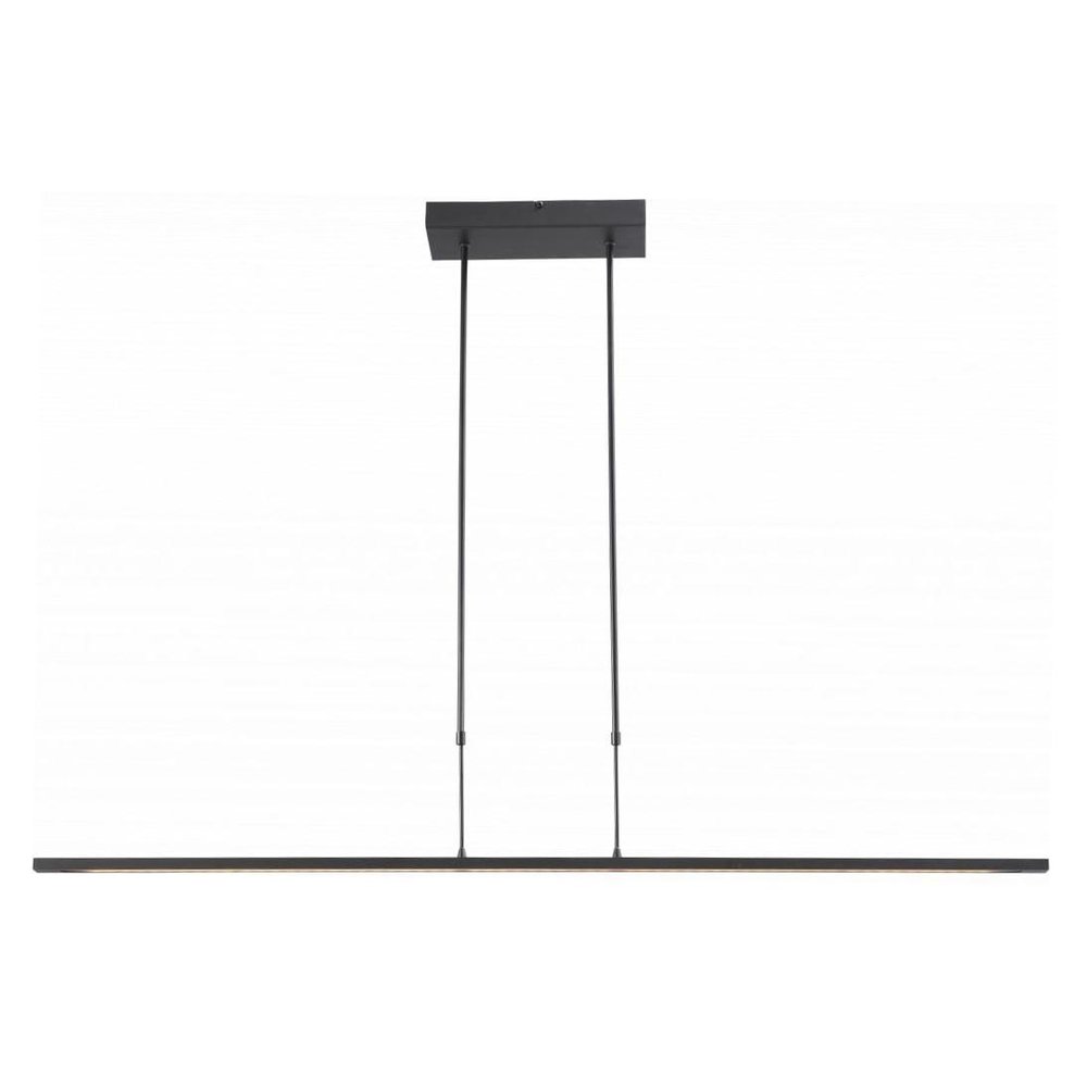 Masterlight Hanglamp Real 2 LED 160 cm zwart nikkel Masterlight Hanglamp Real 2 LED 160 cm zwart nikkel