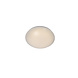 Lucide BIANCA-LED - Plafonnière Badkamer - Ø 24,5 cm - LED - 1x8W 3500K - IP21 - Opaal Lucide BIANCA-LED - Plafonnière Badkamer - Ø 24,5 cm - LED - 1x8W 3500K - IP21 - Opaal