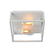 Lucide CARLYN - Plafonnière Badkamer - 2xE14 - IP54 - Wit Lucide CARLYN - Plafonnière Badkamer - 2xE14 - IP54 - Wit