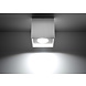 Sollux Plafondlamp Quad wit Sollux Plafondlamp Quad wit