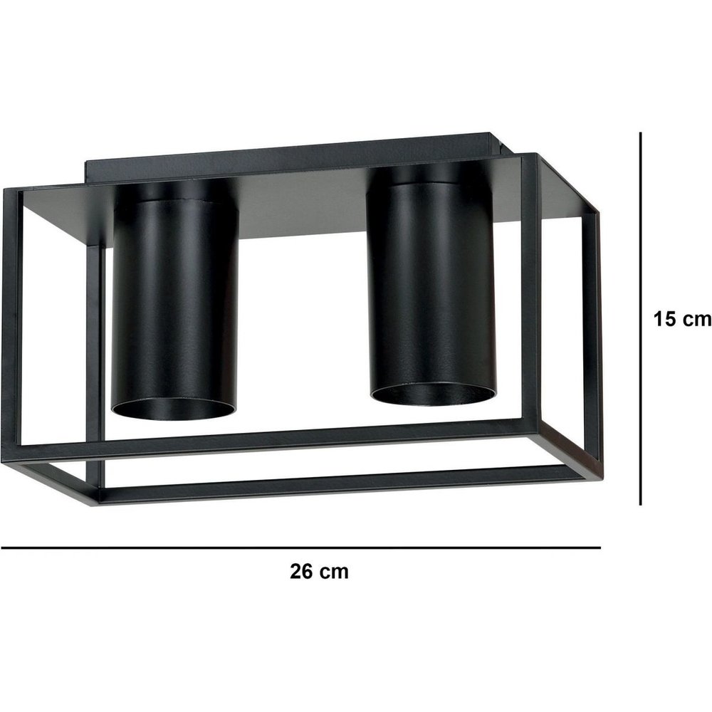 Emibig Plafondlamp Tiper 2 lichts zwart Emibig Plafondlamp Tiper 2 lichts zwart