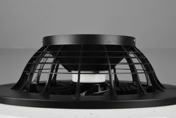 Trio Leuchten Plafondventilator Stralsund Ø 50 cm zwart