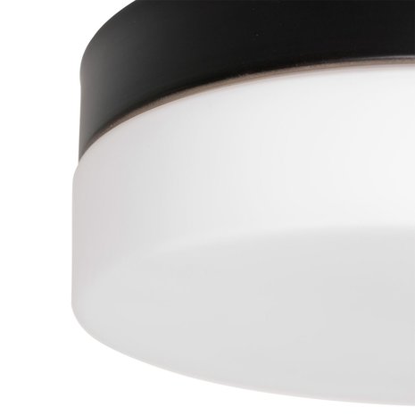 Steinhauer Plafondlamp Ikaro Ø 24 cm IP44 zwart Steinhauer Plafondlamp Ikaro Ø 24 cm IP44 zwart