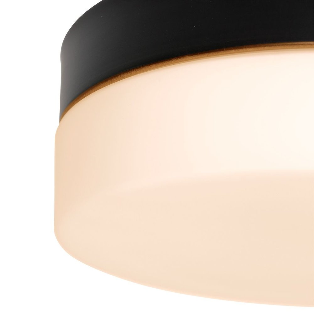 Steinhauer Plafondlamp Ikaro Ø 24 cm IP44 zwart Steinhauer Plafondlamp Ikaro Ø 24 cm IP44 zwart