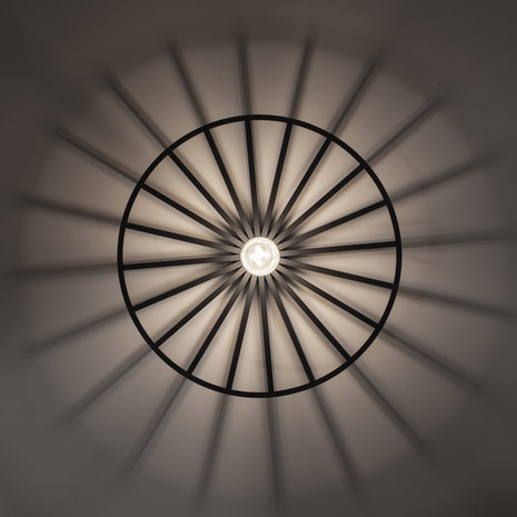 Paul Neuhaus Plafondlamp Isabella Ø 50 cm zwart