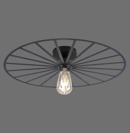Paul Neuhaus Plafondlamp Isabella Ø 50 cm zwart