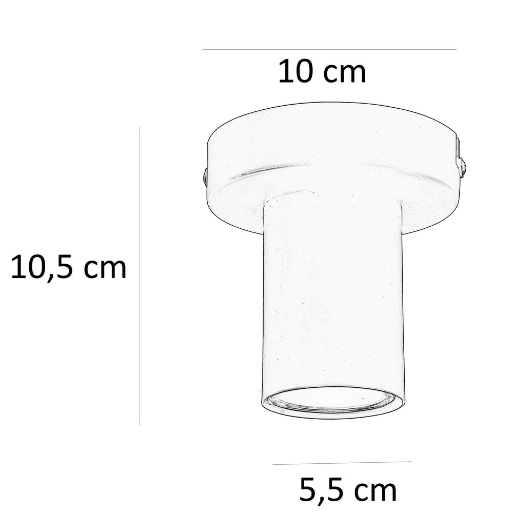 Ylumen Plafondlamp Tag 1 lichts Ø 10 cm zwart