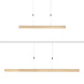 Paul Neuhaus Hanglamp e-Slide L 120-200 cm mat goud Paul Neuhaus Hanglamp e-Slide L 120-200 cm mat goud