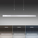 Paul Neuhaus Hanglamp e-Slide L 120-200 cm mat chroom Paul Neuhaus Hanglamp e-Slide L 120-200 cm mat chroom