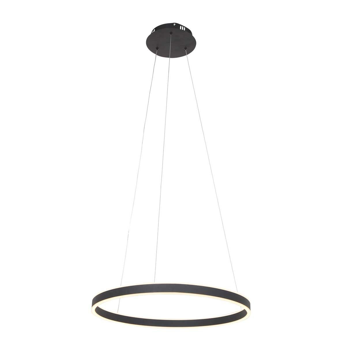 Steinhauer Led hanglamp Ringlux zwart 3502ZW