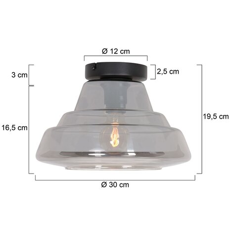 Steinhauer Plafondlamp reflexion Ø 30 cm 3389 zwart