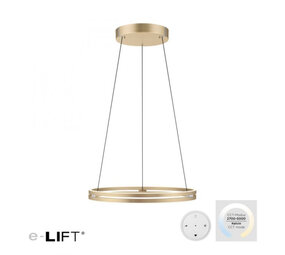 Neuhaus PURE Hanglamp E-Loop e-Lift Ø 70 cm mat goud
