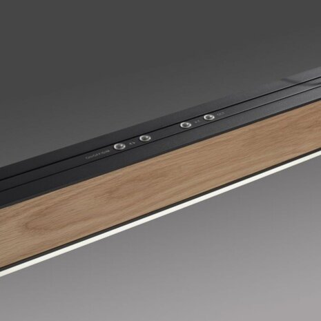 Neuhaus PURE Hanglamp e-Lift + e-Slide L 120-200 cm zwart hout