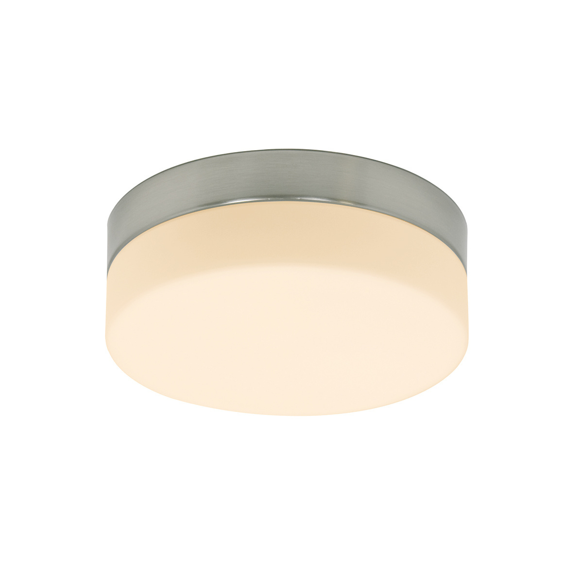 Steinhauer Plafondlamp ceiling and wall IP44 LED 1362st staal