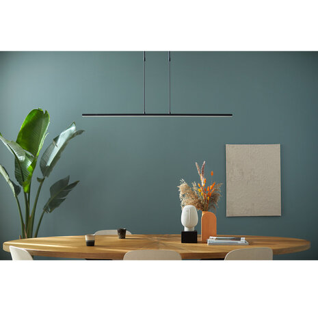 Steinhauer Hanglamp Humilus LED 1482zw zwart Steinhauer Hanglamp Humilus LED 1482zw zwart
