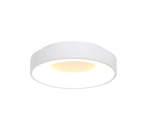 Steinhauer Plafondlamp Ringlede Ø 38 cm 2562 wit