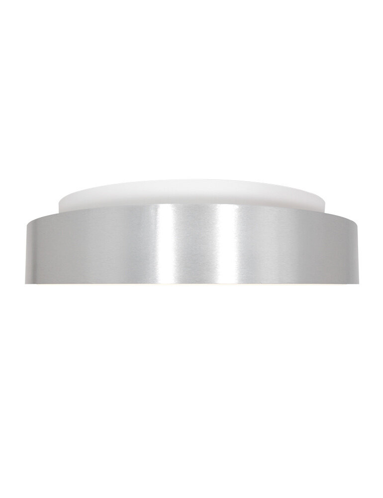 Steinhauer Plafondlamp Ringlede Ø 48 cm 2563 zilver