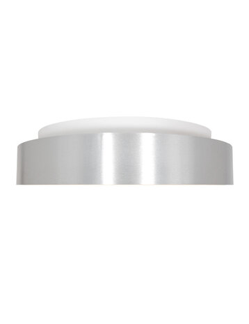 Steinhauer Plafondlamp Ringlede Ø 48 cm 2563 zilver