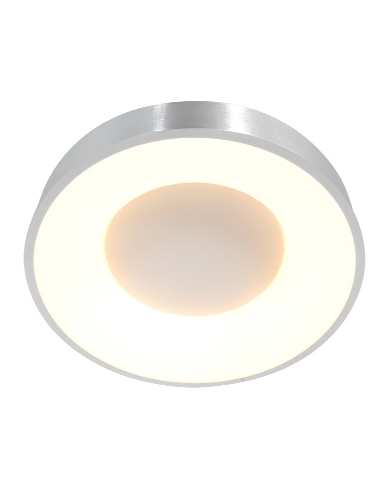 Steinhauer Plafondlamp Ringlede Ø 48 cm 2563 zilver