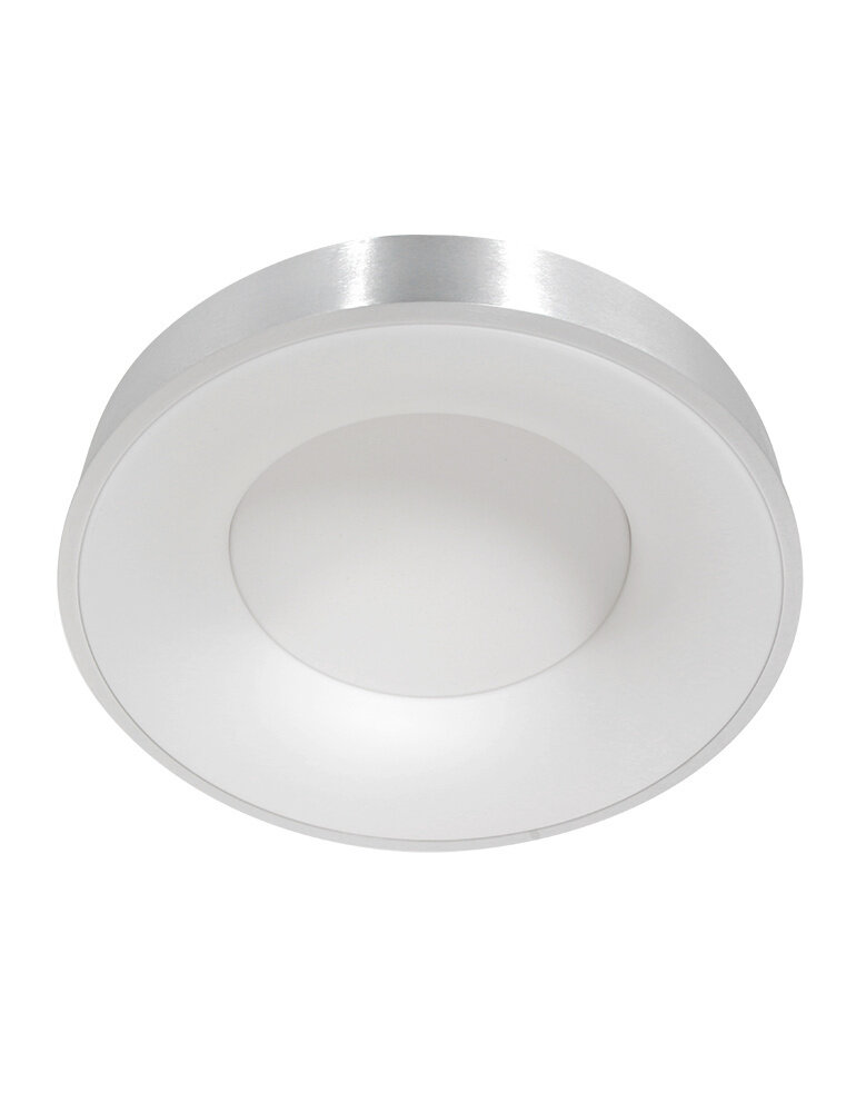 Steinhauer Plafondlamp Ringlede Ø 48 cm 2563 zilver