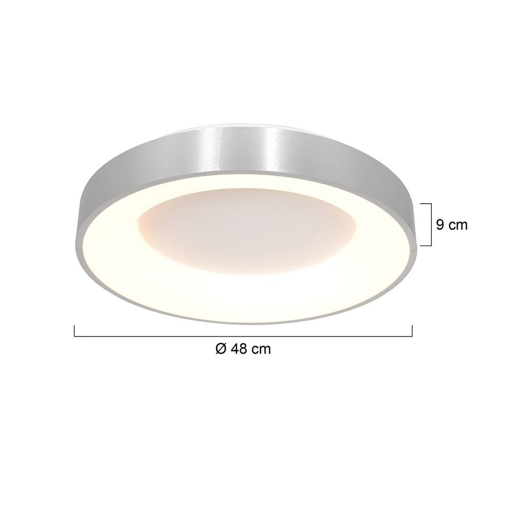 Steinhauer Plafondlamp Ringlede Ø 48 cm 2563 zilver