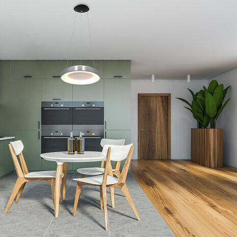 Steinhauer Hanglamp Ringlede Ø 48 cm 2695 zilver Steinhauer Hanglamp Ringlede Ø 48 cm 2695 zilver