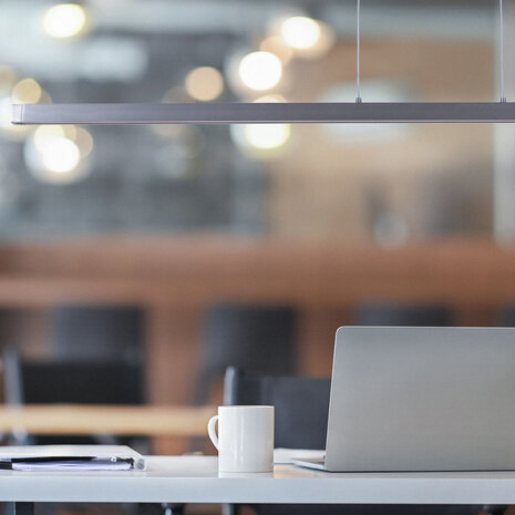 Mexlite Hanglamp Danske L 114 cm mat-chroom Mexlite Hanglamp Danske L 114 cm mat-chroom