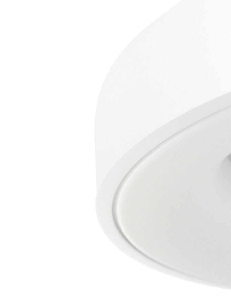 Steinhauer Plafondlamp Ringlede Ø 30 cm 3086 wit