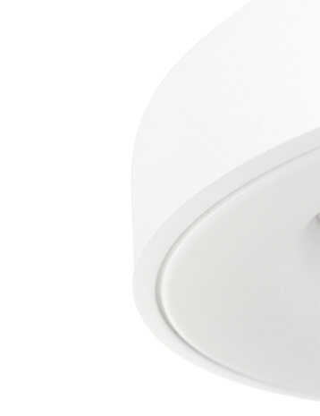 Steinhauer Plafondlamp Ringlede Ø 30 cm 3086 wit